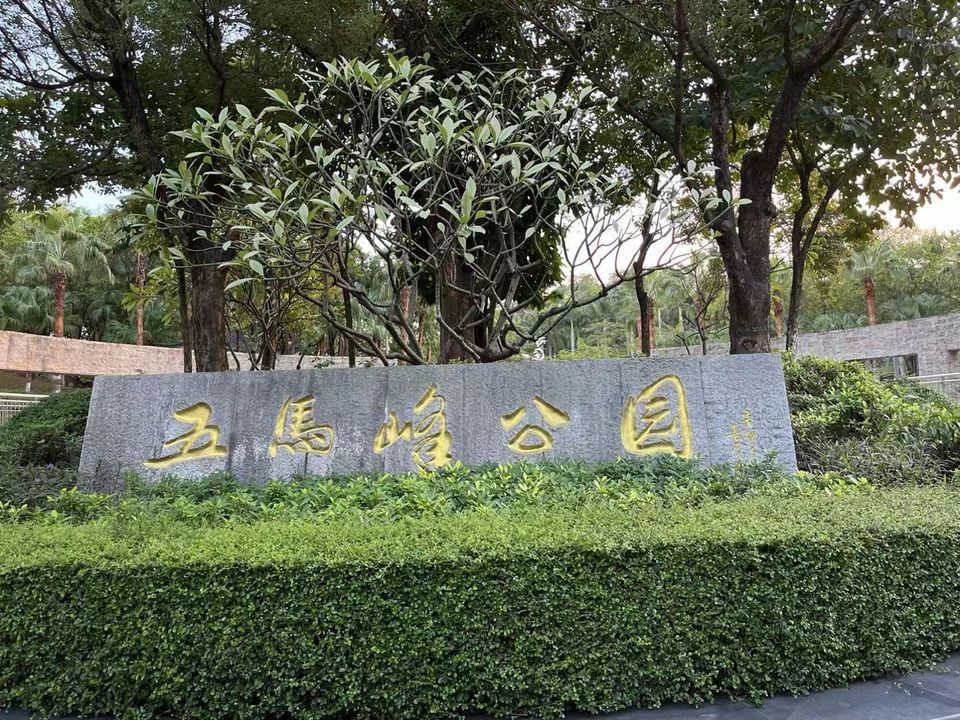 深圳坪山五马峰公园图片