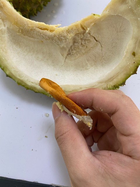 马来西亚榴莲体验馆汕头店