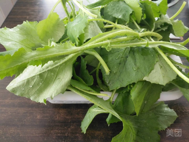 云南野菜一点红图片