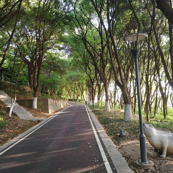 【何山公园】何山公园门票,何山公园游玩攻略_360地图