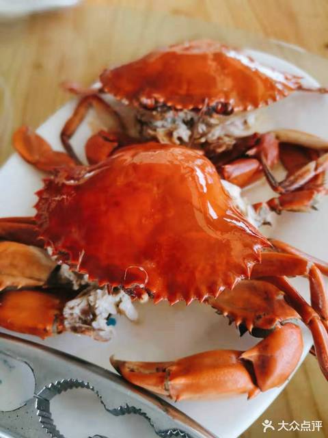 正宗和乐膏蟹图片