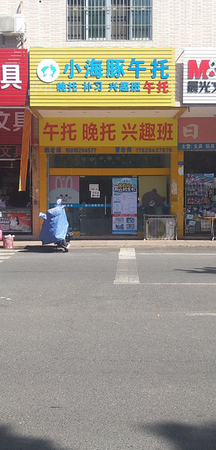 小海豚午托图片