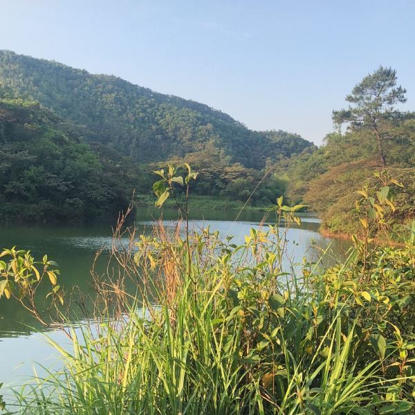 大西坑公园图片