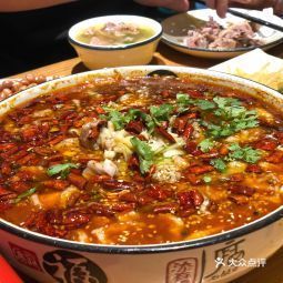 老母鸡扛枪