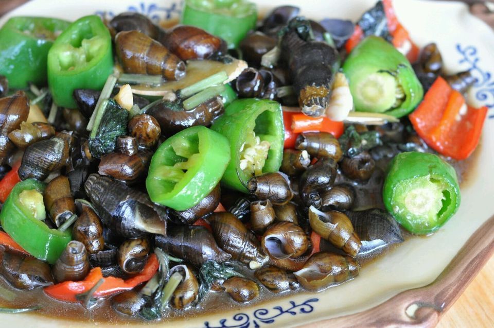 紫苏生坑螺图片