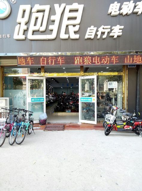跑狼电动车自行车图片