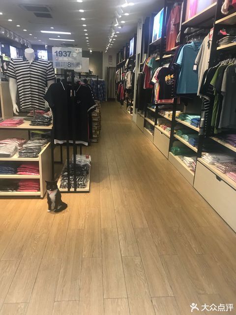 三枪内衣专卖店