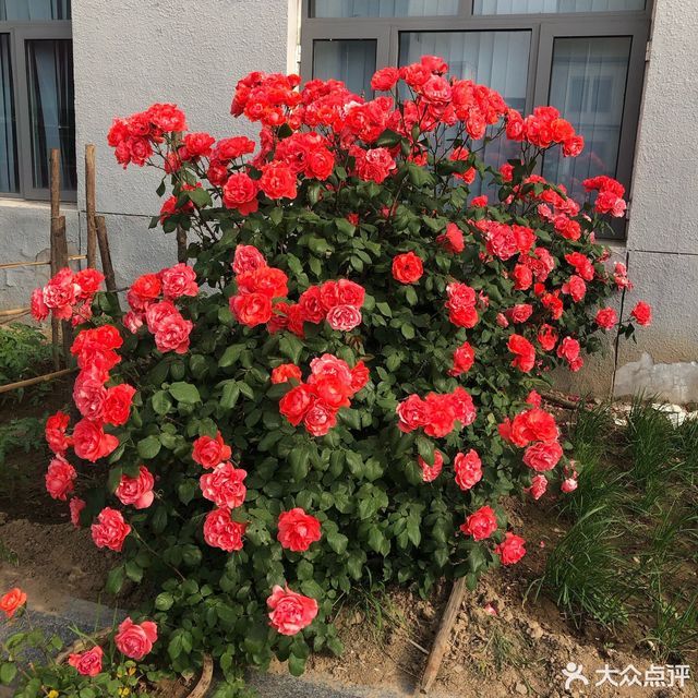 广达名车汽车服务专业店(富中路店)图片