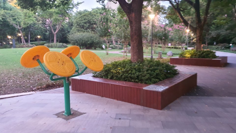 虹桥健身休闲绿地图片