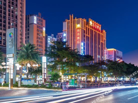 佛山市乐从百合酒店(天佑城店)图片