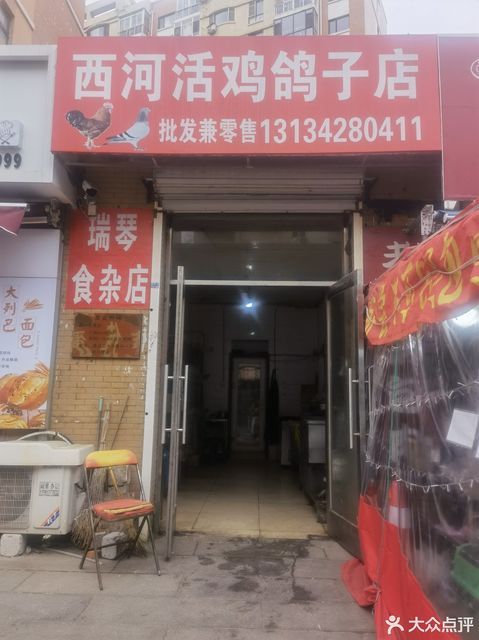 西河活鸡鸽子店图片