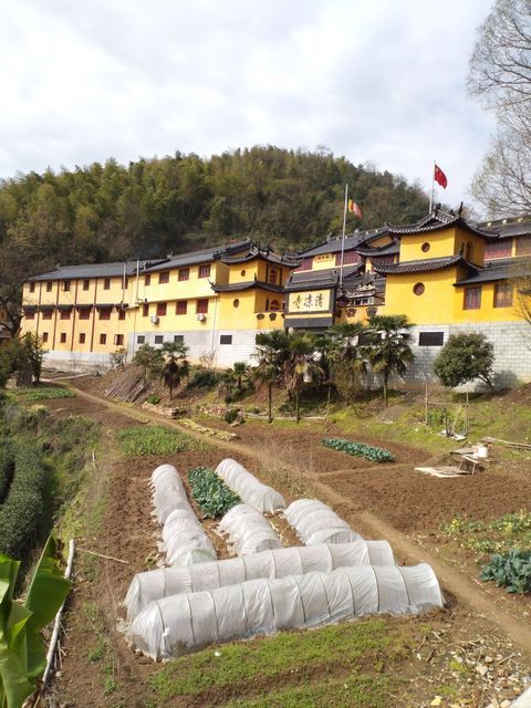 杭州清凉寺图片