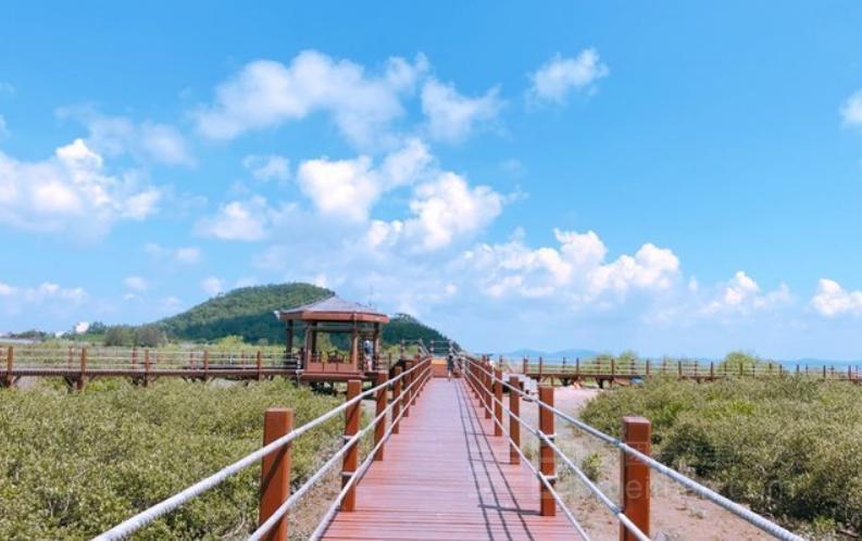红树林公园地址(位置,怎么去,怎么走,在哪,在哪里,在哪儿):重庆市渝北