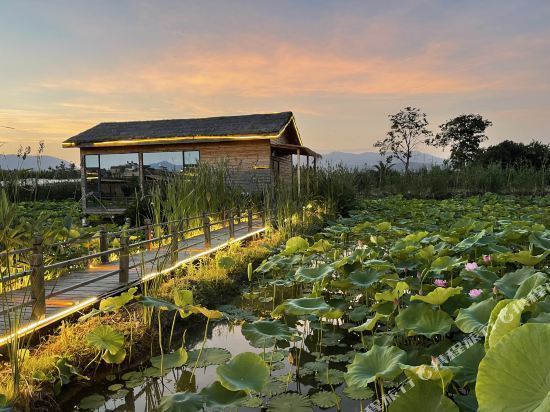 澄江悦莲庄园