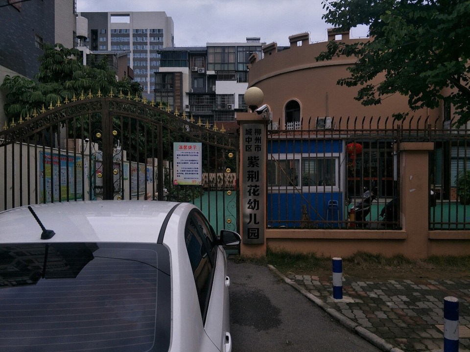 紫荆花幼儿园图片