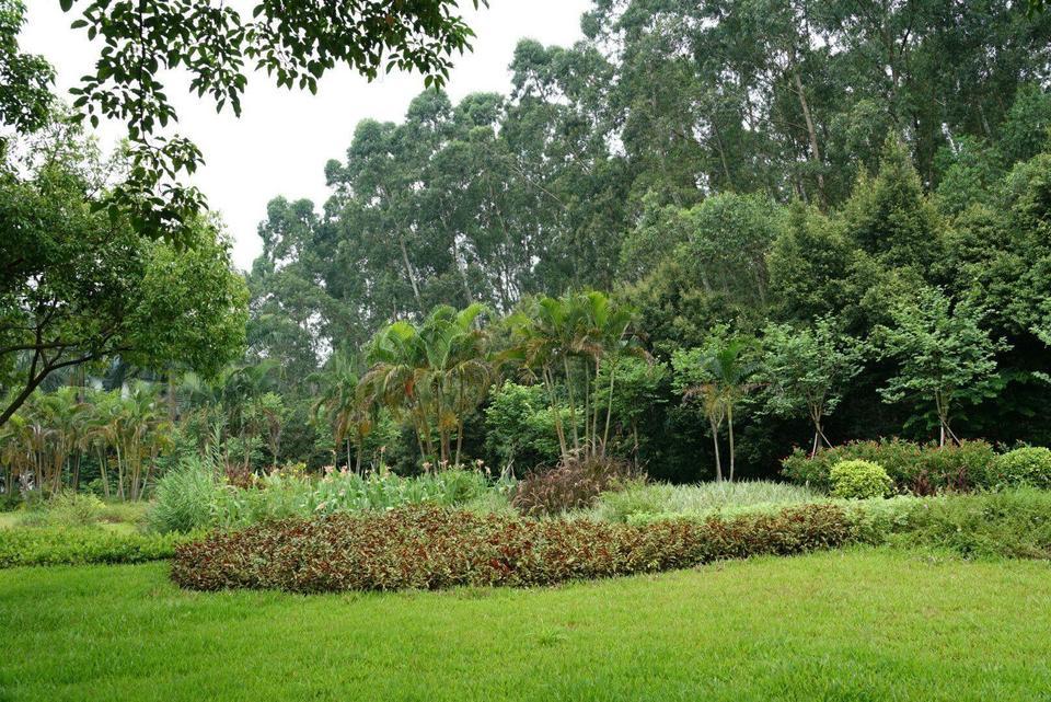 广州市番禺区景点