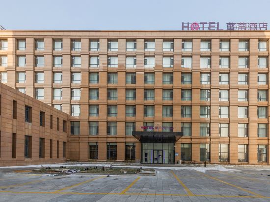 葡萄酒店(营口鲅鱼圈高铁站店)图片