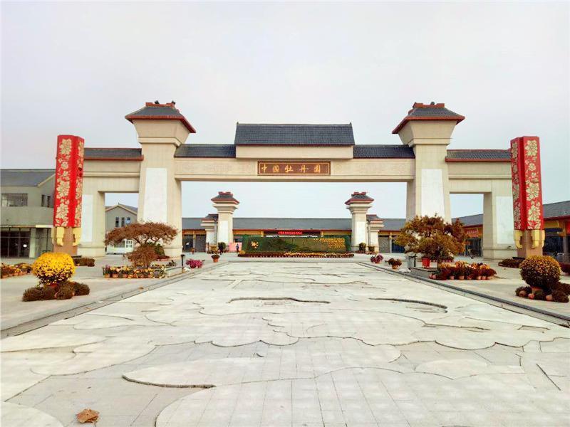山东菏泽牡丹园