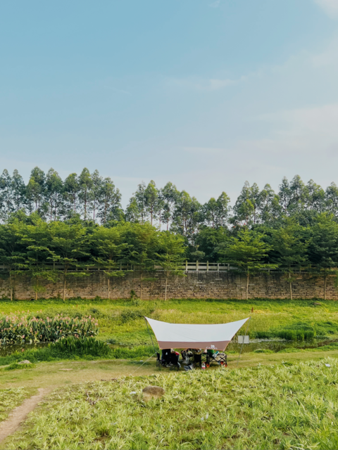 三江口湿地温泉公园图片