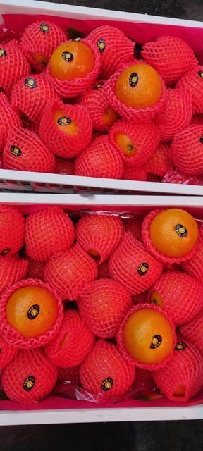 精品水果店(福利西路店)图片