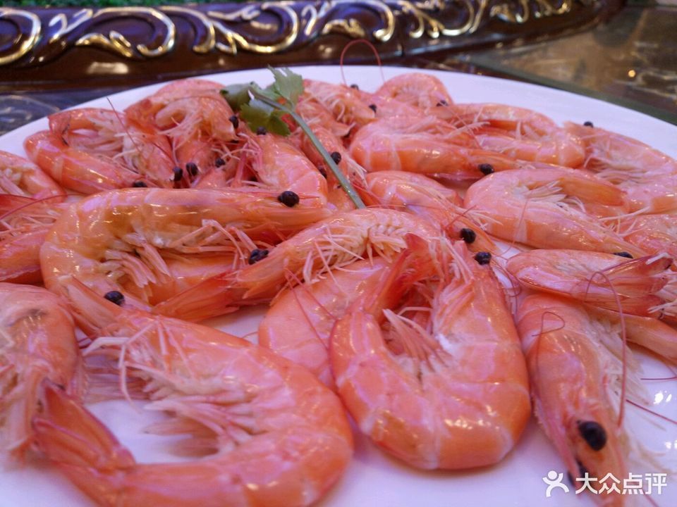 金丝富贵虾图片