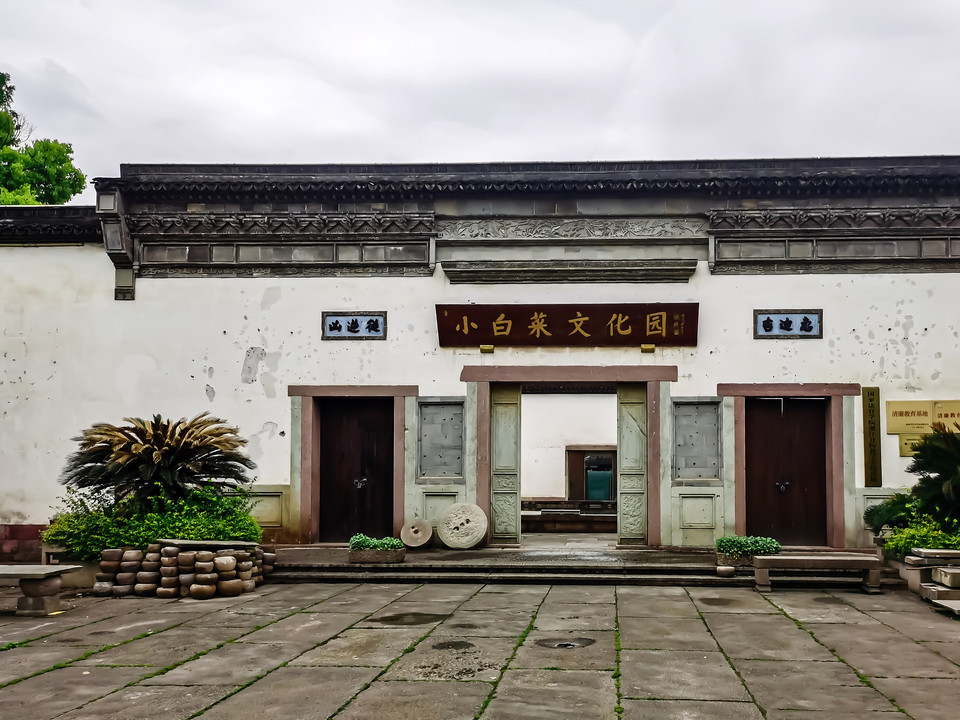 小白菜文化园