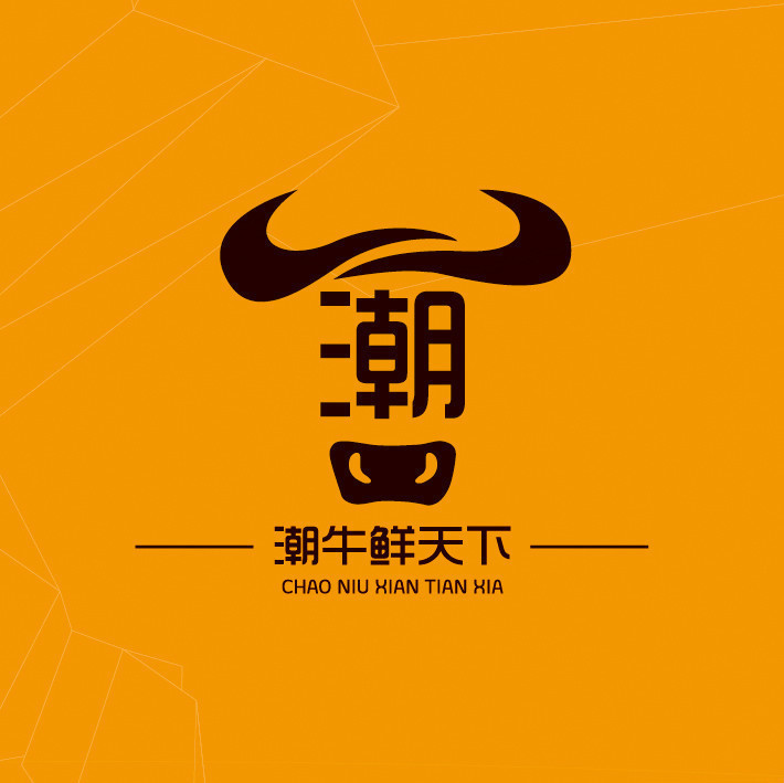 高兴一锅潮汕鲜牛肉火锅