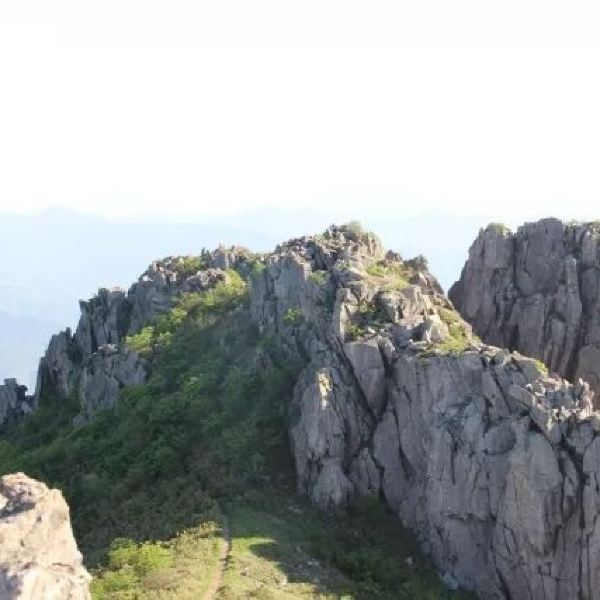 清涼峰植物園