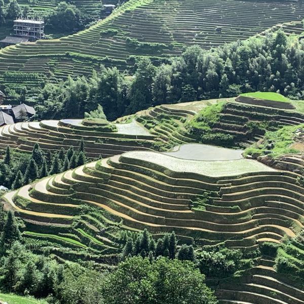 九龙五虎观景点图片