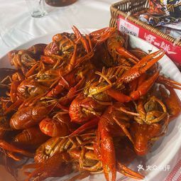t11e11c8c954585347259514bee.jpg