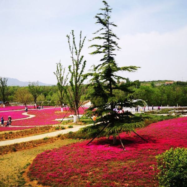 烟台植物园