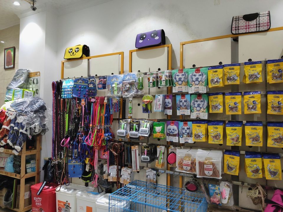 栾城宠物店