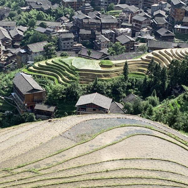 九龙五虎观景点图片