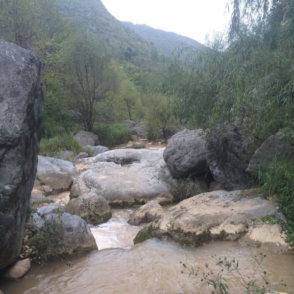 成县<<西峡颂>>风景区图片