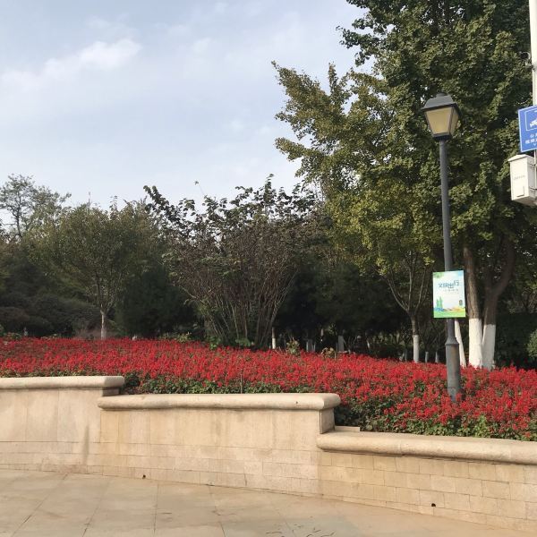 公园什么时候去 t11e11c8c95c3ae40787fdb9cc5.jpg