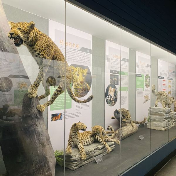 昆明动物博物馆图片