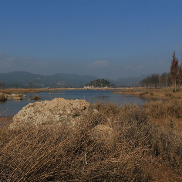 海峰湿地不要去图片